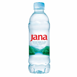 Stilles Wasser 0,5 PET