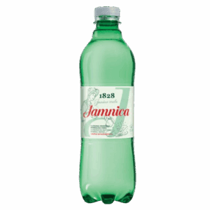 Mineralwasser – mit Kohlensäure 0,5 PET